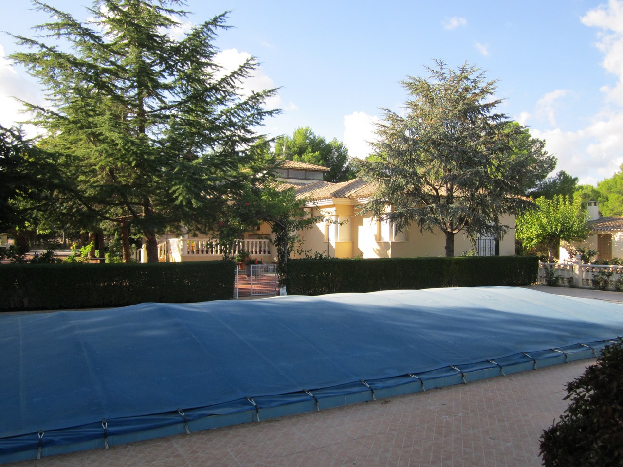 Pool area in villa for sale in Yecla