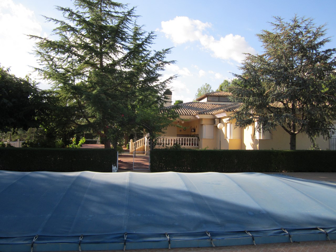 Garden in villa for sale in Yecla