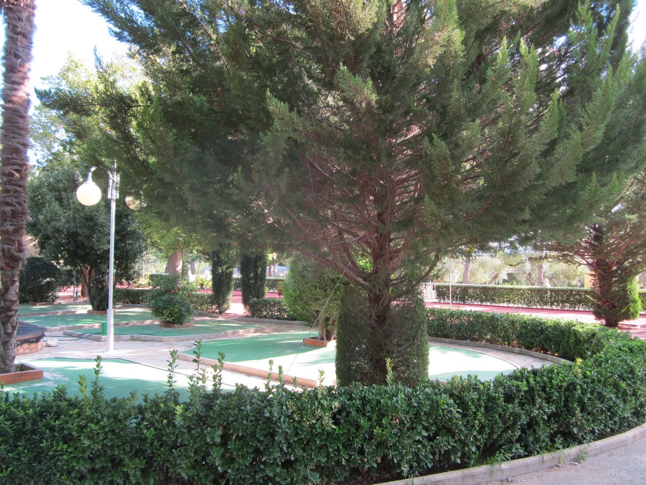 Garden in villa for sale in Yecla