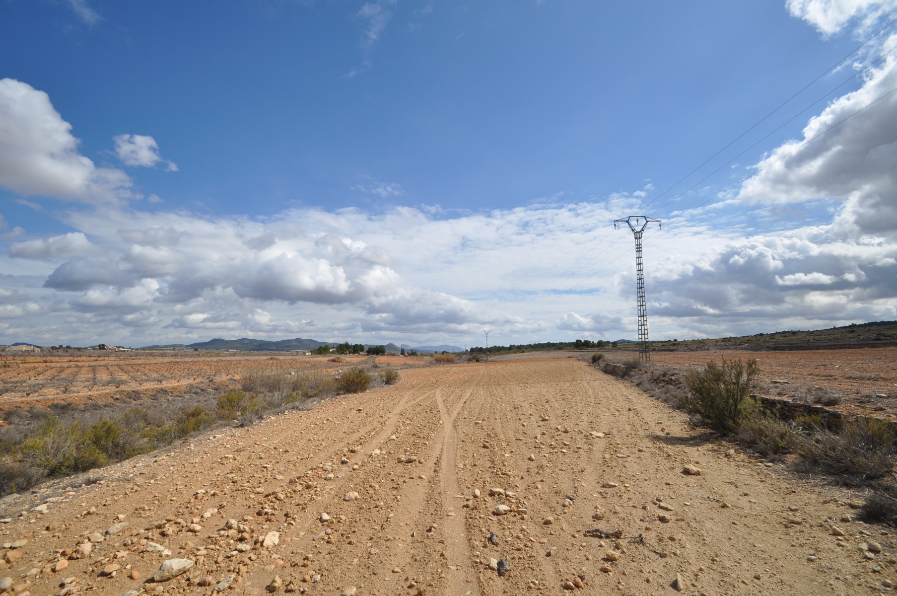 Terrace in land for sale in Pinoso