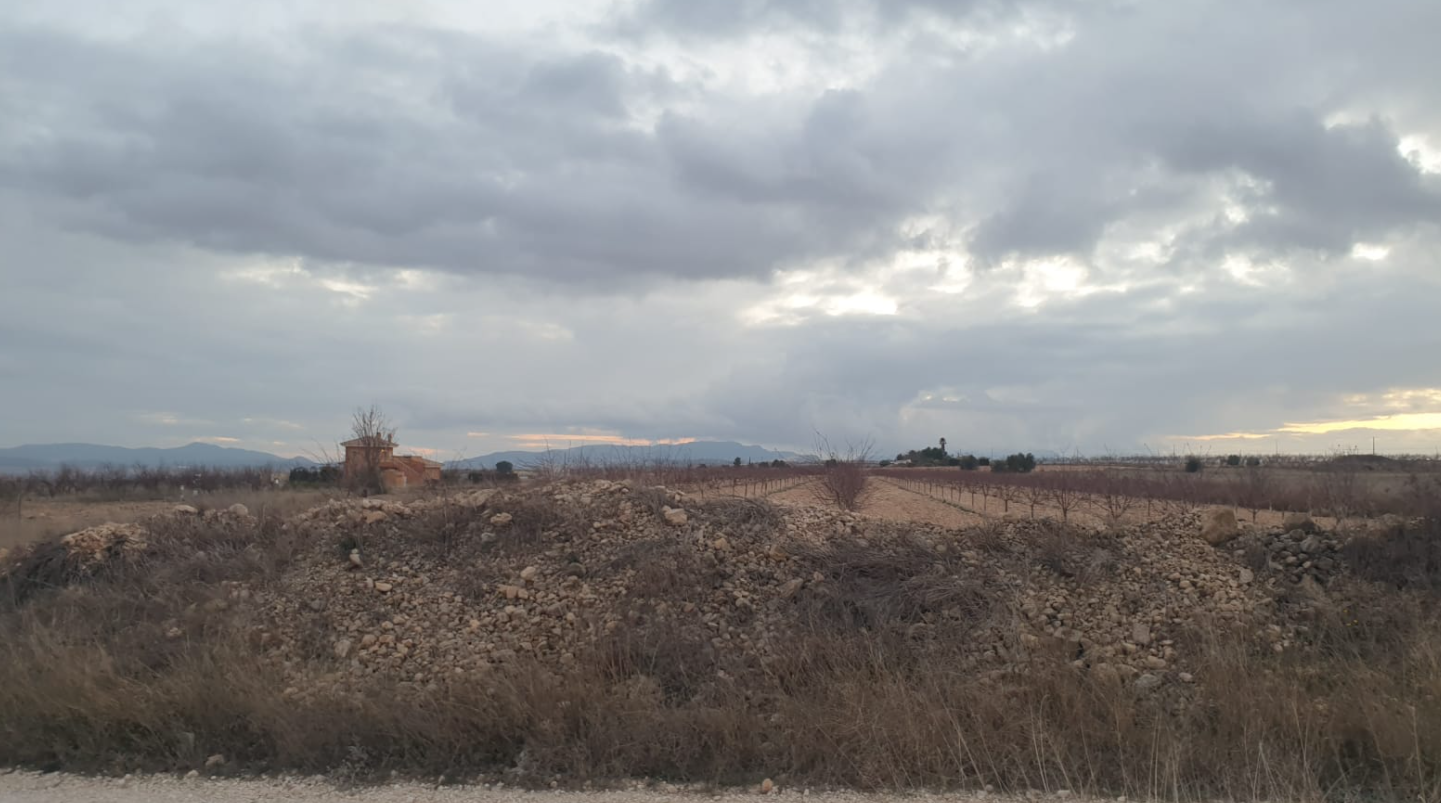 Bedrooms: 0, Bathrooms: 0, Land in Pinoso, Alicante, Spain