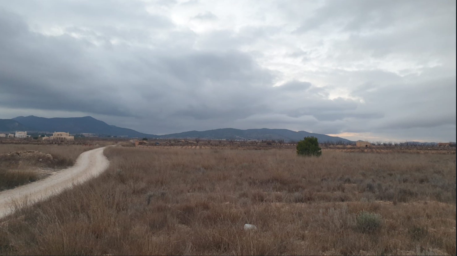 Bedrooms: 0, Bathrooms: 0, Land in Pinoso, Alicante, Spain