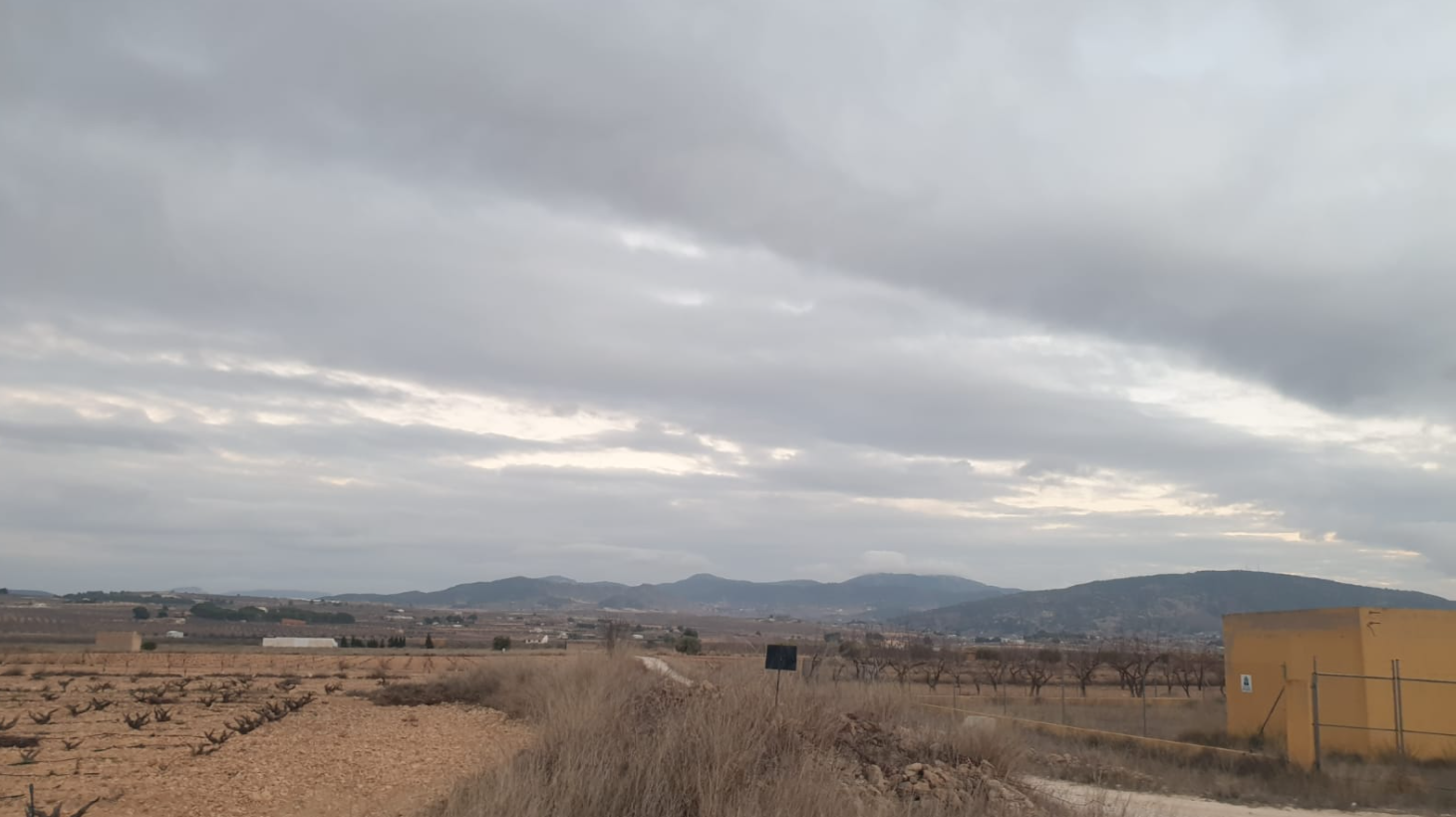 Terrace in land for sale in Pinoso