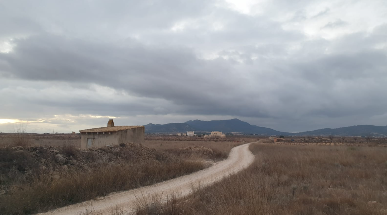 Pool area in land for sale in Pinoso