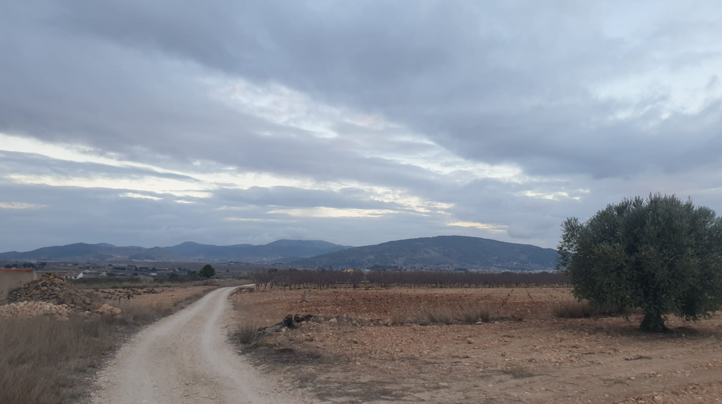 This building plot of 25,200 m² is located in Pinoso, Alicante