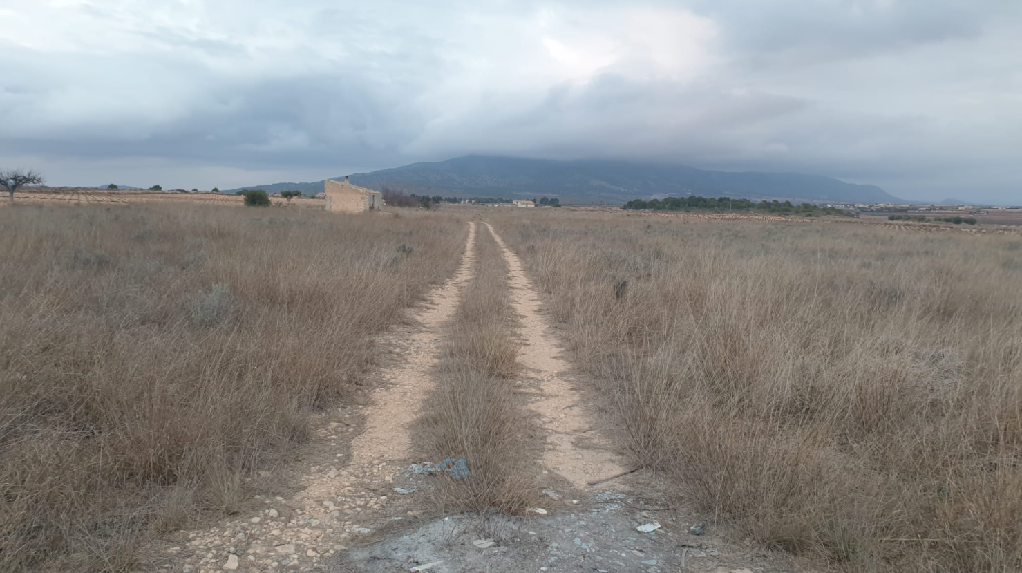 This building plot of 25,200 m² is located in Pinoso, Alicante