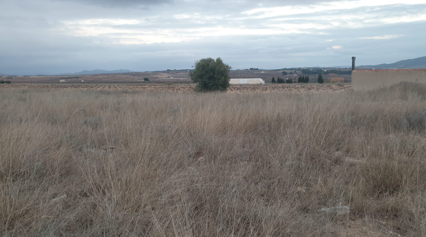 This building plot of 25,200 m² is located in Pinoso, Alicante