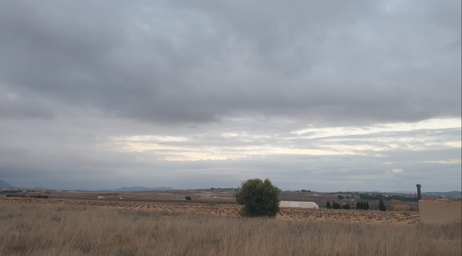 This building plot of 25,200 m² is located in Pinoso, Alicante