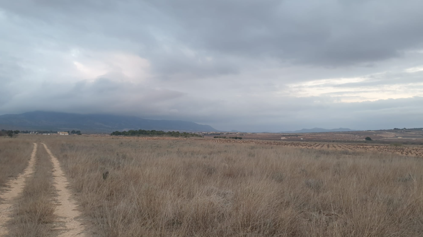 Terrace in land for sale in Pinoso