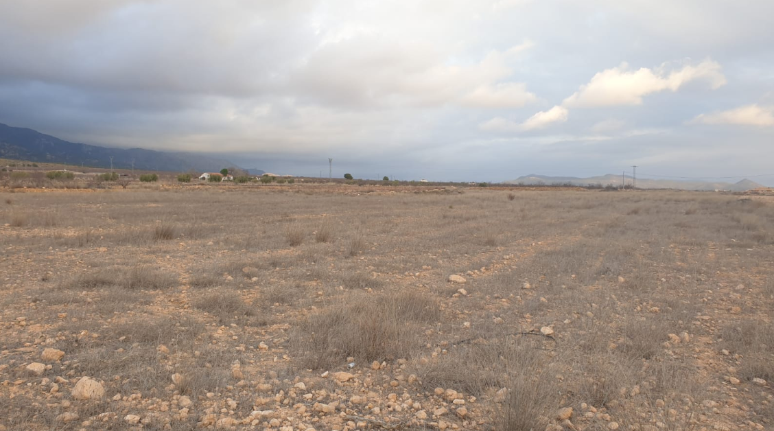 Bedrooms: 0, Bathrooms: 0, Land in Pinoso, Alicante, Spain
