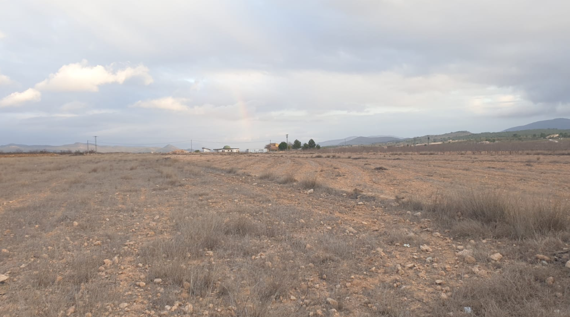 Terrace in land for sale in Pinoso