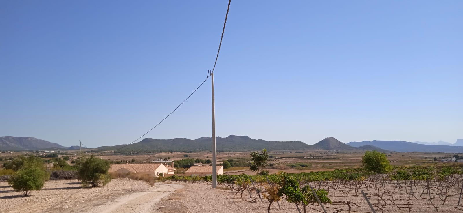 Pool area in land for sale in Pinoso