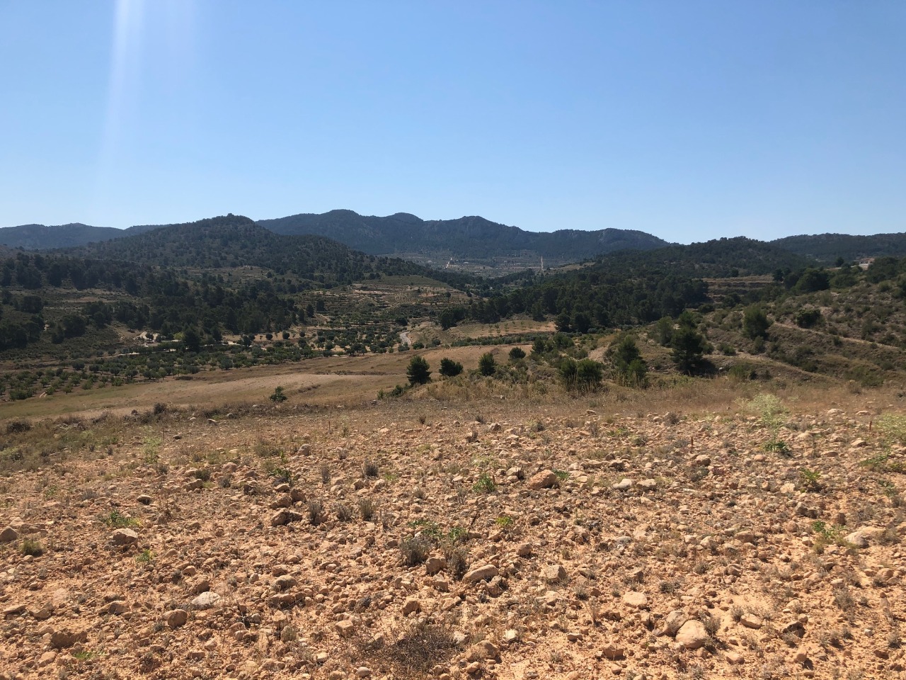Pool area in land for sale in La Zarza