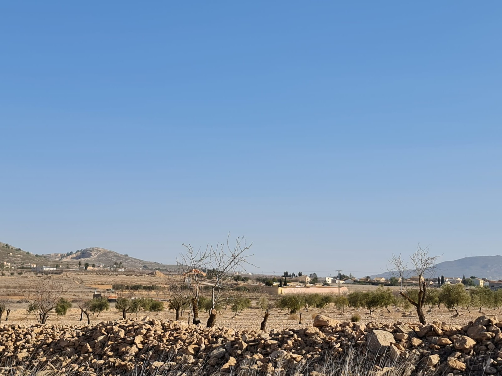 Lyxig Byggnadstomt i Jumilla – Ett Drömhem i Spanskt Landskap