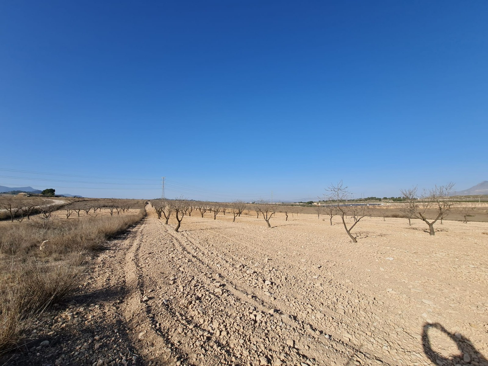Lyxig Byggnadstomt i Jumilla – Ett Drömhem i Spanskt Landskap