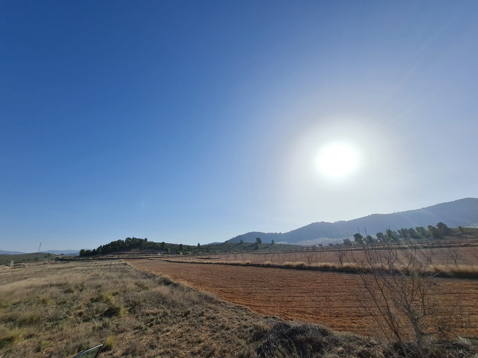 Exterior view in land for sale in Jumilla