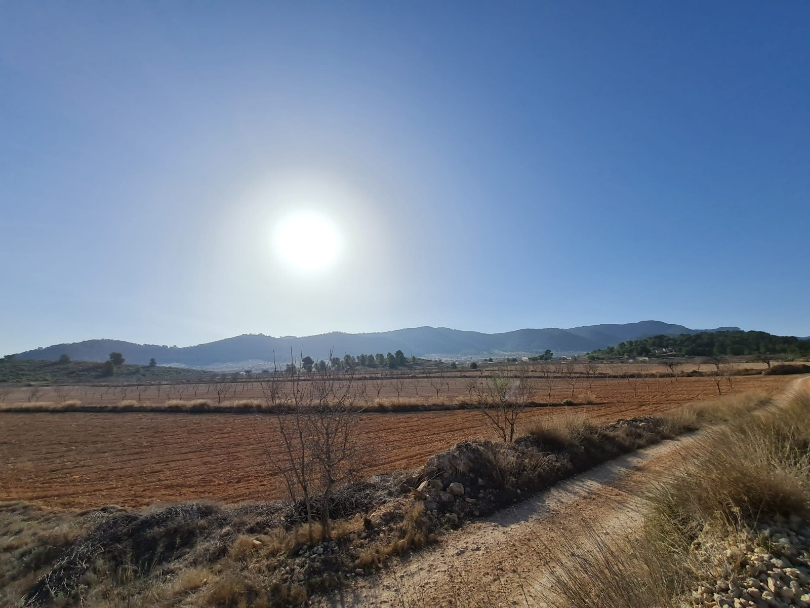 Living room in land for sale in Jumilla