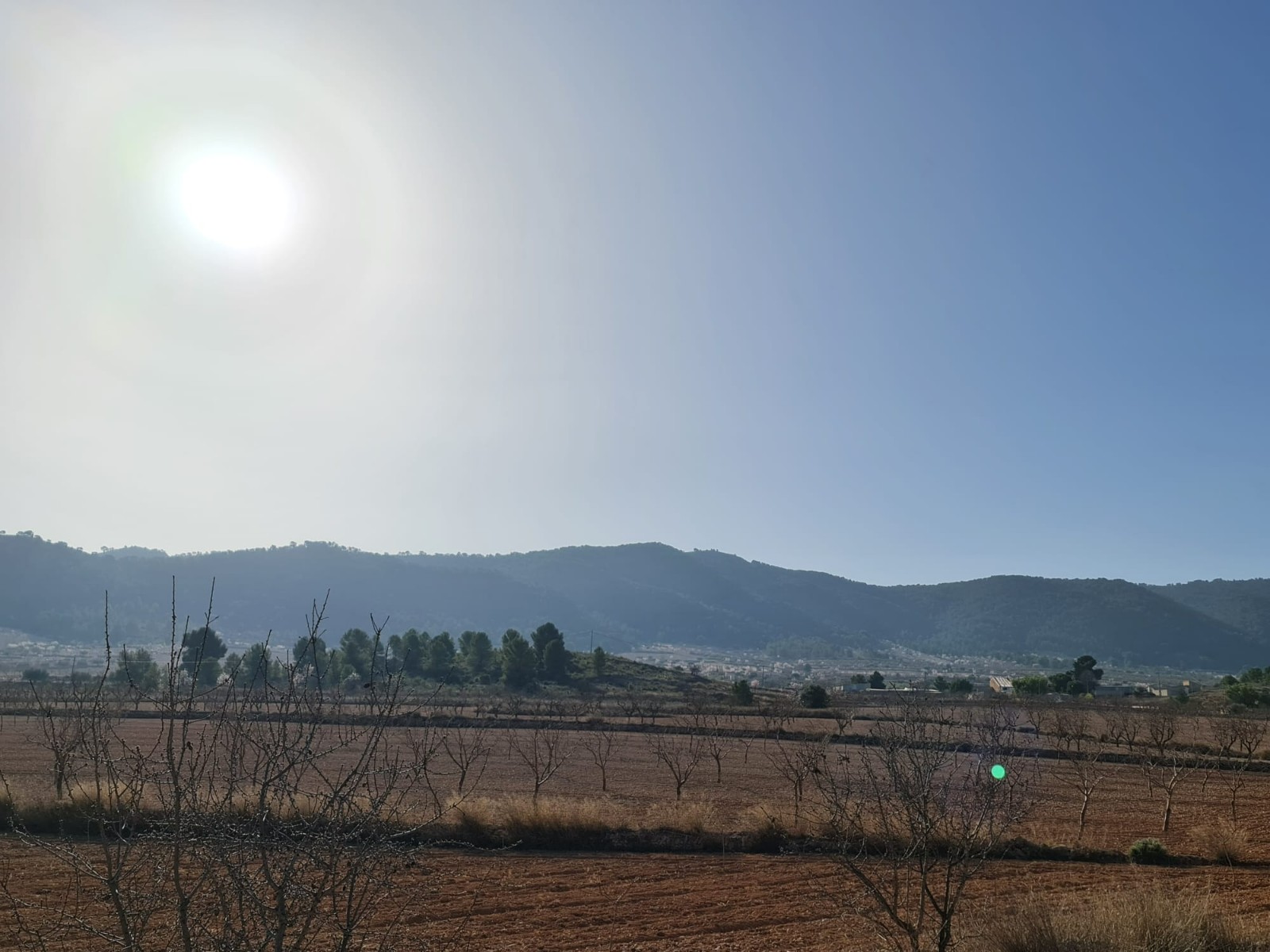Building plot of 14877m2 located in Jumilla