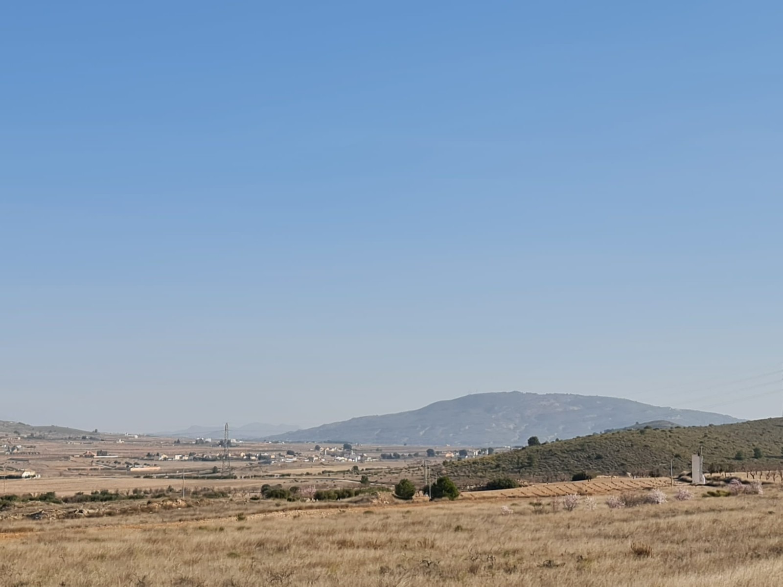 Terrace in land for sale in Jumilla