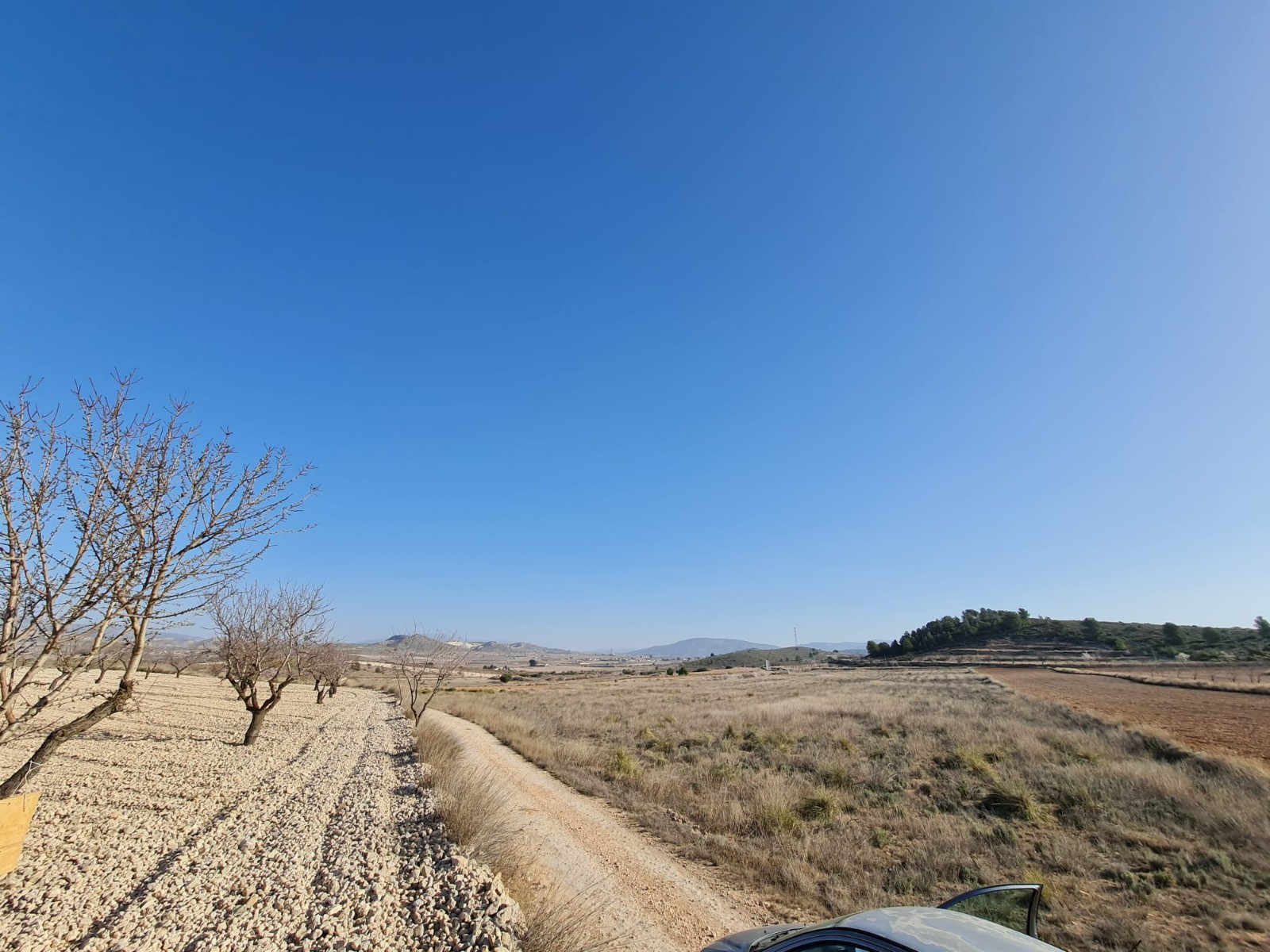Bedroom in land for sale in Jumilla