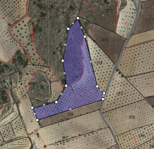 Building plot of 19338 m2 located in Jumilla