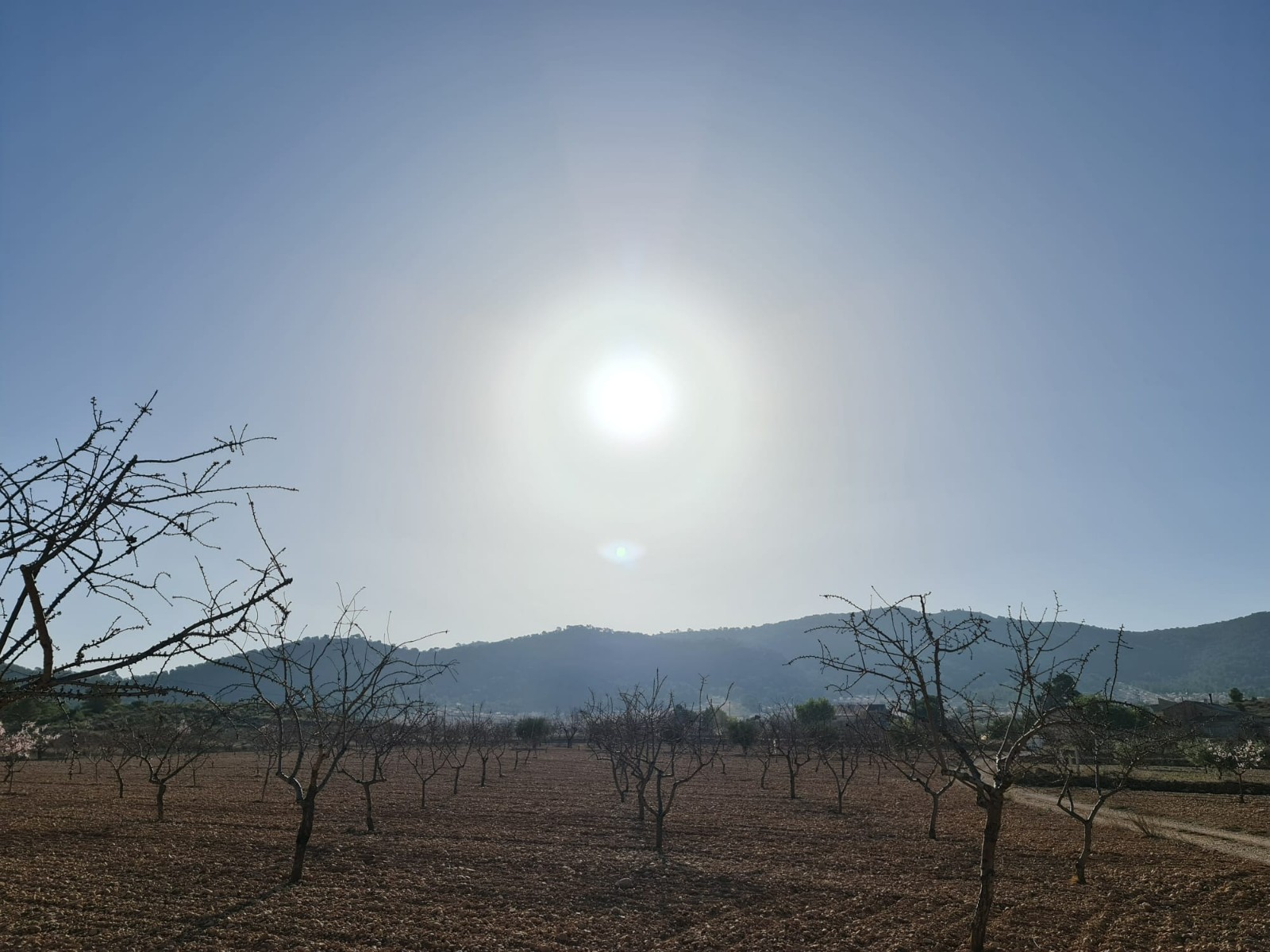 Dining area in land for sale in Jumilla