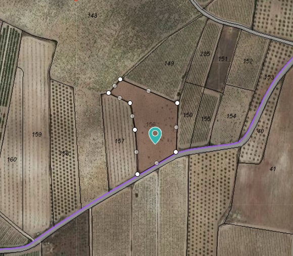 The plot is not a buildable plot, it currently has grape vines on it