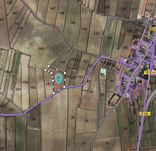 The plot is not a buildable plot, it currently has grape vines on it