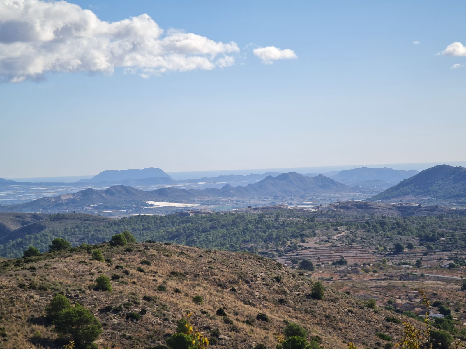 Discover the potential of this exceptional plot of land spanning 12598m2, offering a canvas for your