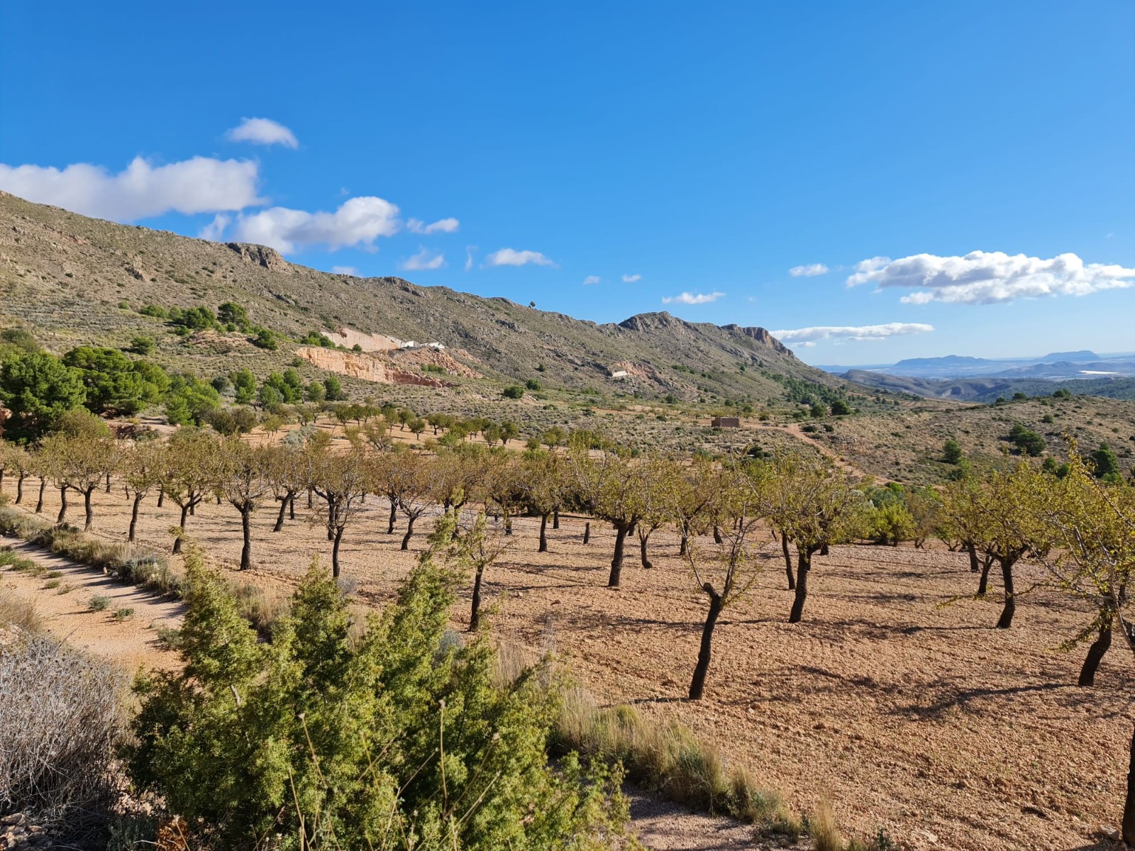 Exterior view in land for sale in La Romana