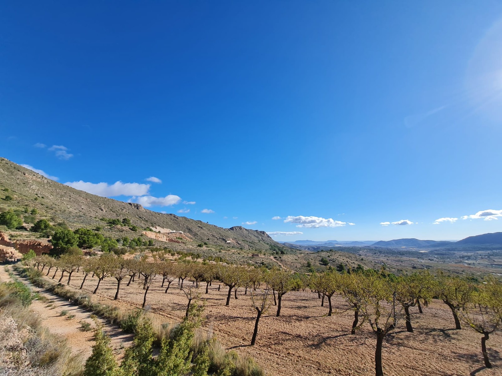 Discover the potential of this exceptional plot of land spanning 12598m2, offering a canvas for your