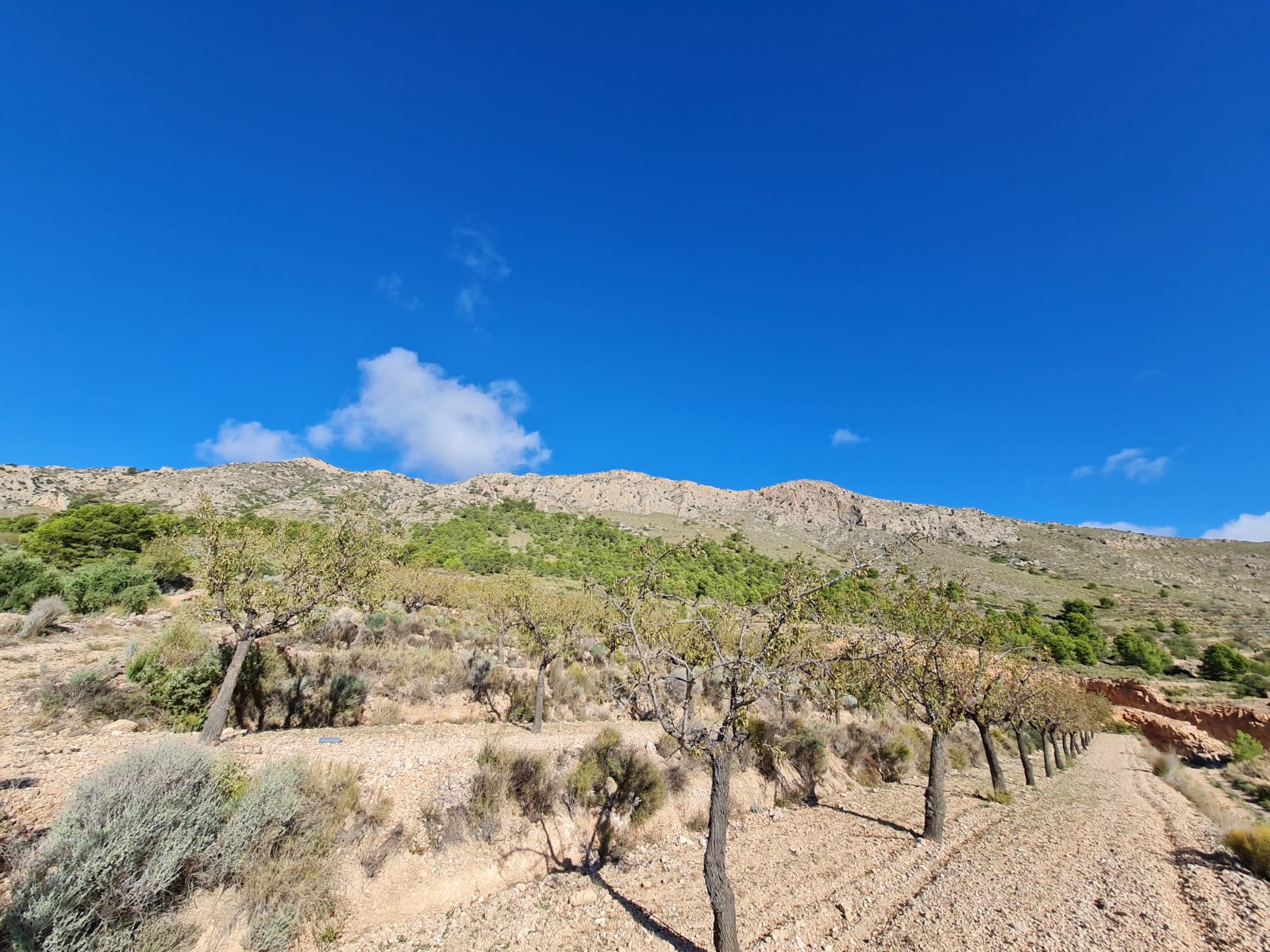 Discover the potential of this exceptional plot of land spanning 12598m2, offering a canvas for your
