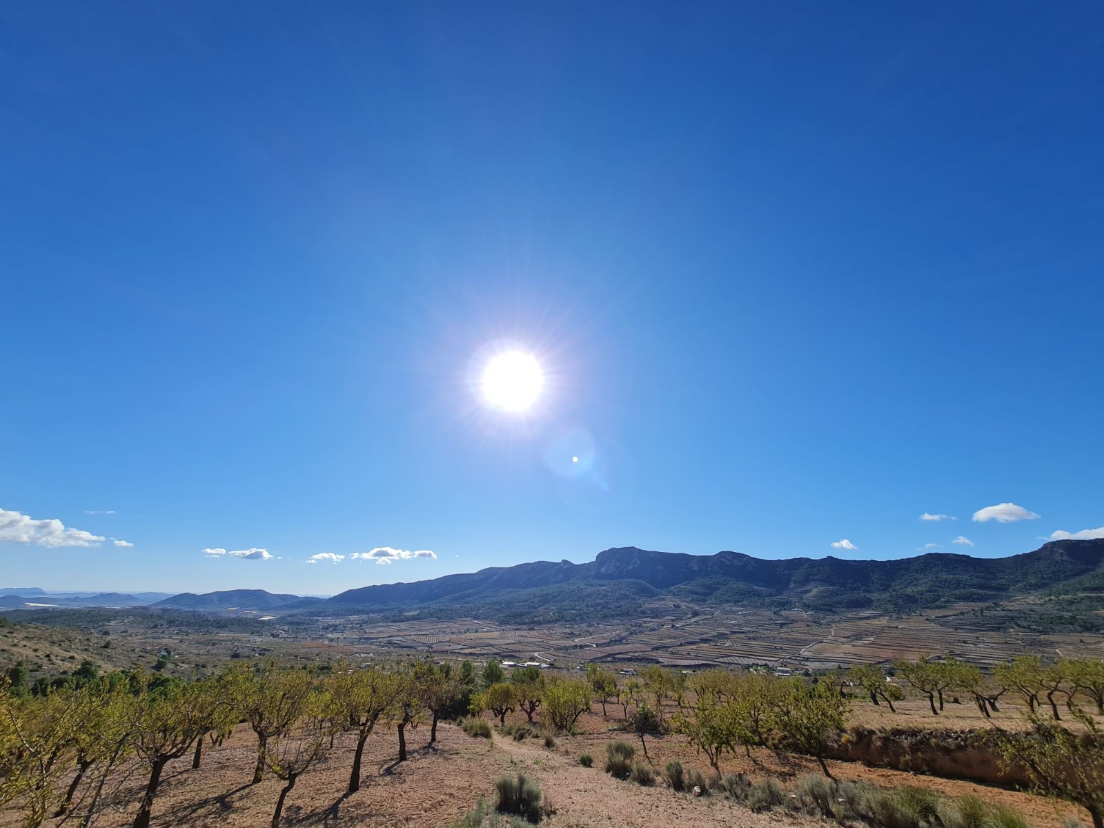 Discover the potential of this exceptional plot of land spanning 12598m2, offering a canvas for your