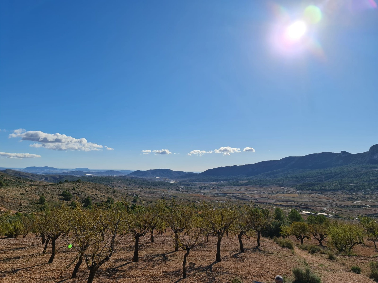 Discover the potential of this exceptional plot of land spanning 12598m2, offering a canvas for your