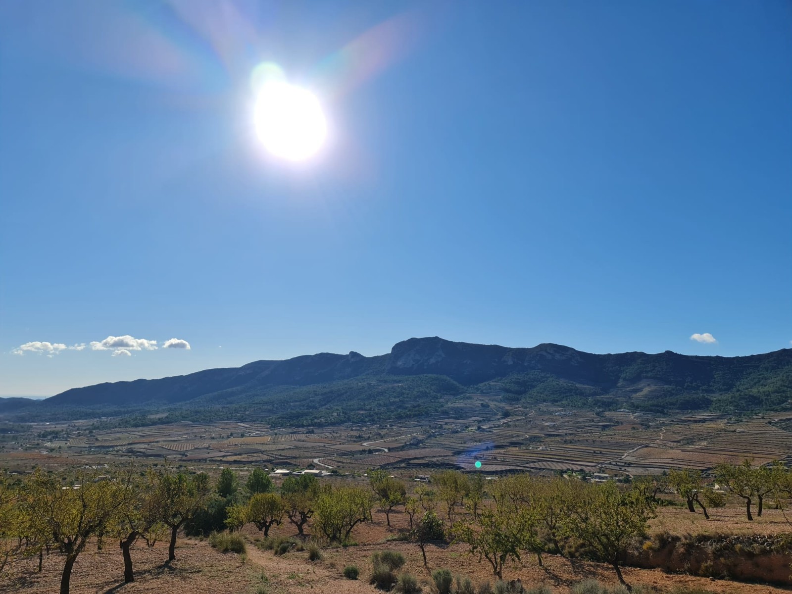 Garden in land for sale in La Romana