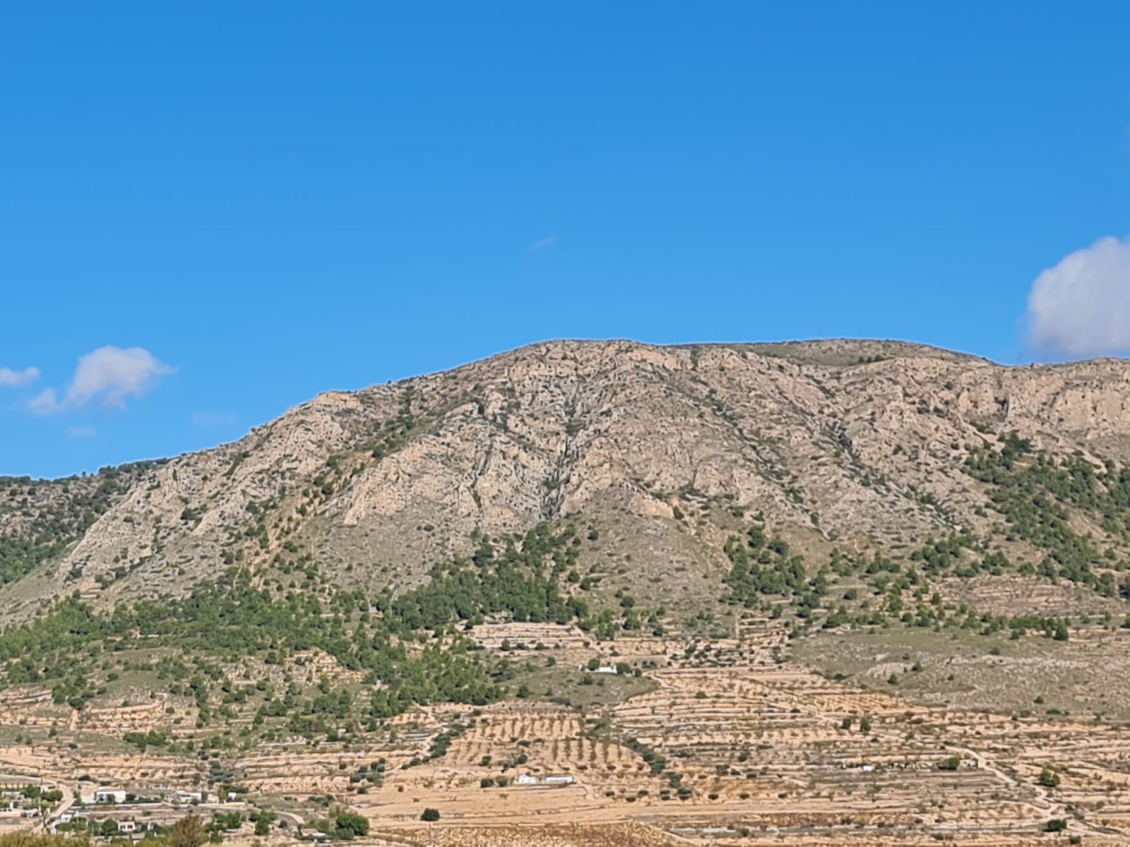 Discover the potential of this exceptional plot of land spanning 10,279m2, offering a canvas for you