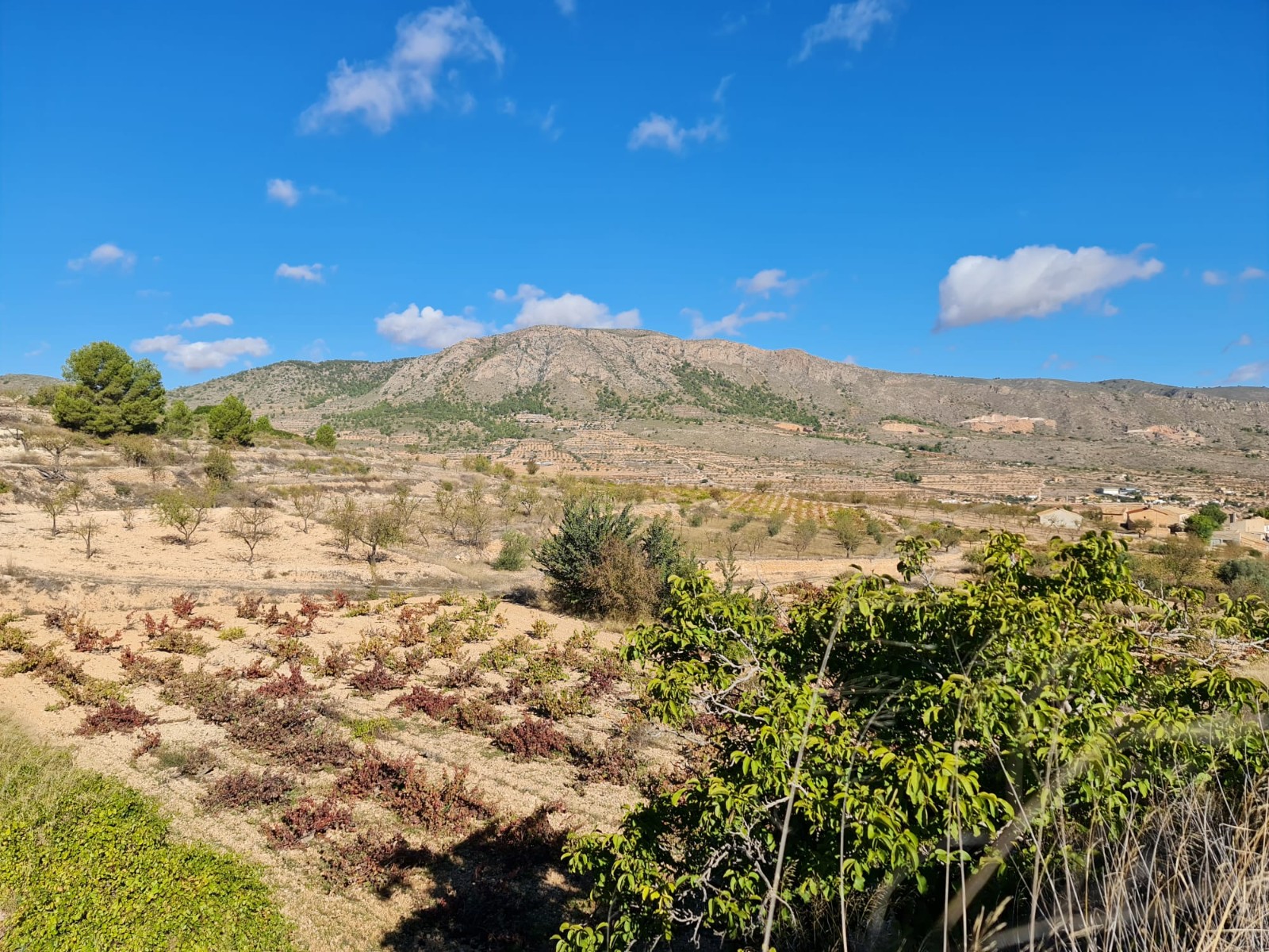 Exterior view in land for sale in La Romana