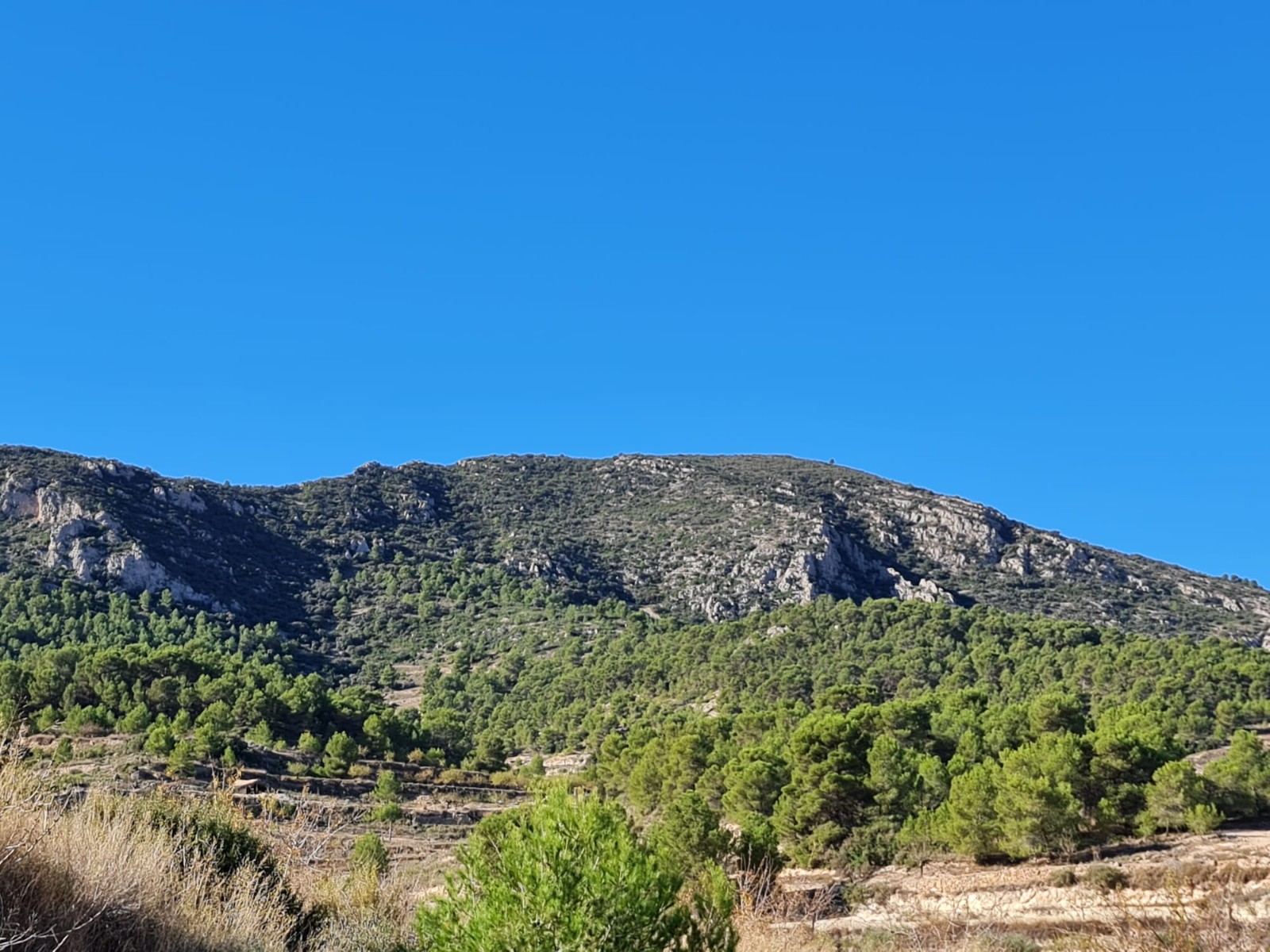 Discover the potential of this exceptional plot of land spanning 10,279m2, offering a canvas for you