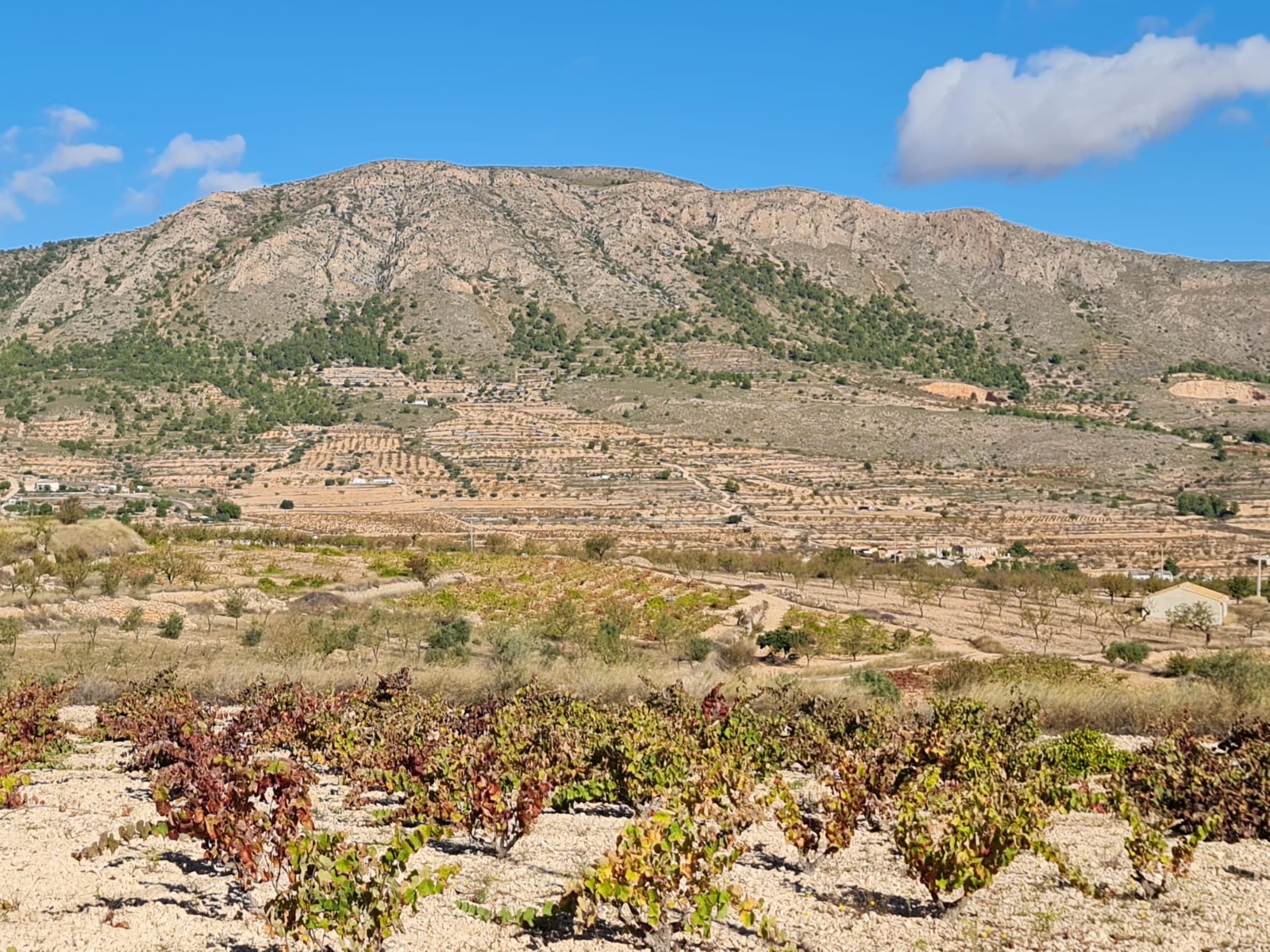 Discover the potential of this exceptional plot of land spanning 10,279m2, offering a canvas for you
