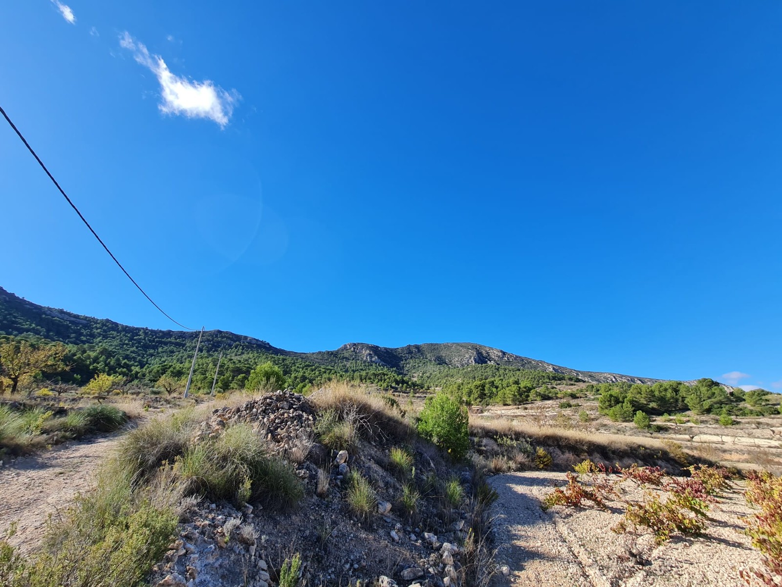Garden in land for sale in La Romana