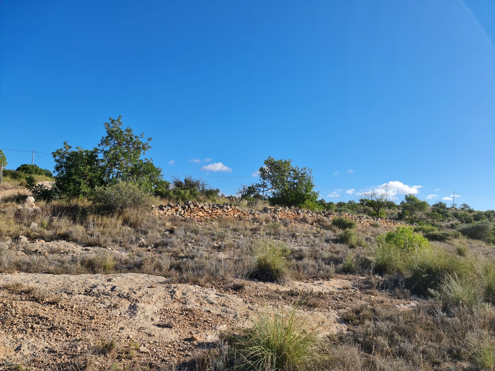 Garden in land for sale in La Romana