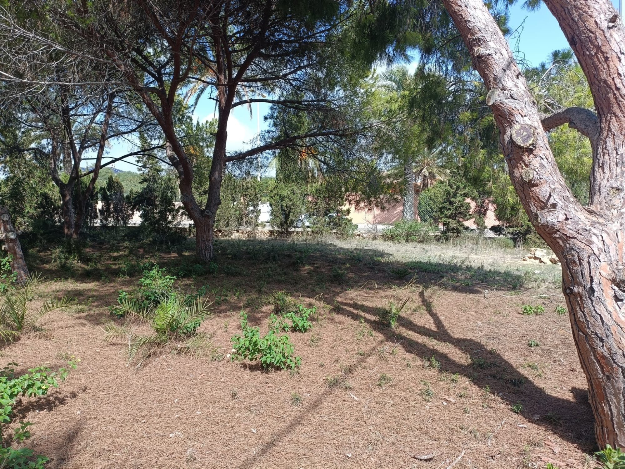 Exterior view in land for sale in Cabo Roig