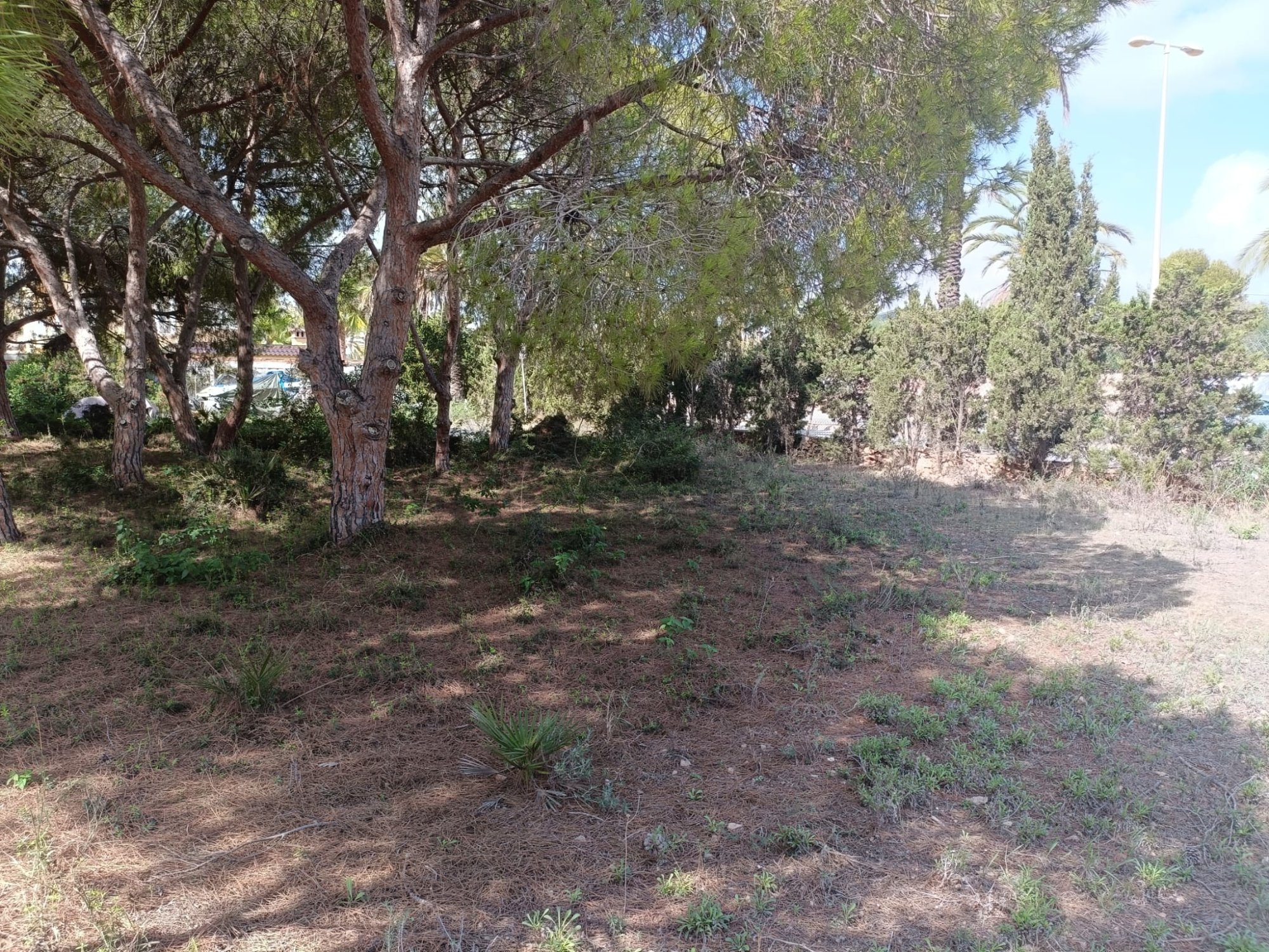 Terrace in land for sale in Cabo Roig