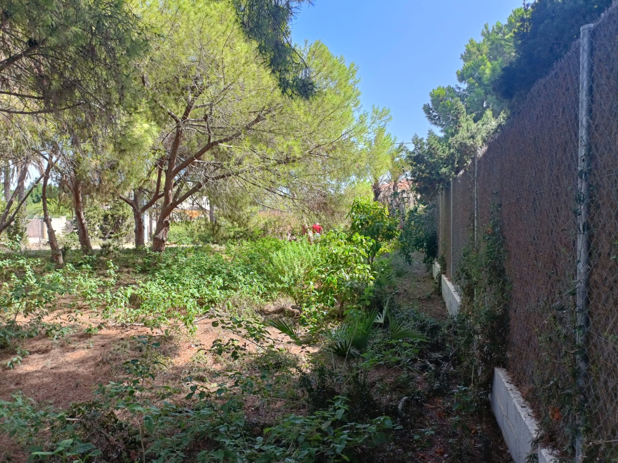 Garden in land for sale in Cabo Roig