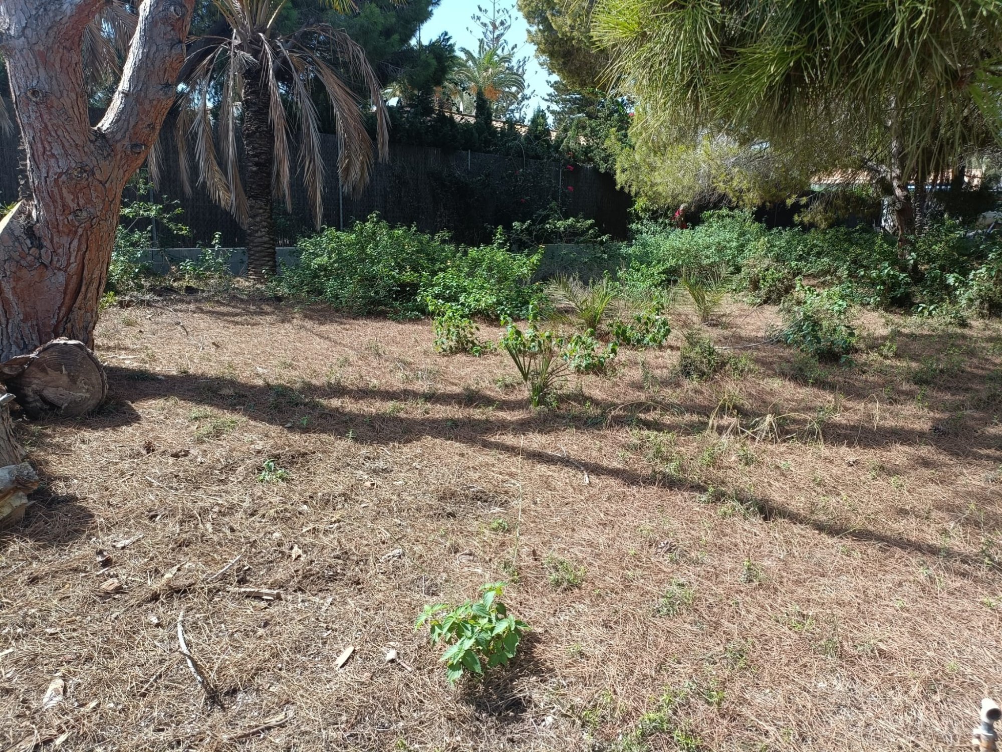 Bedroom in land for sale in Cabo Roig