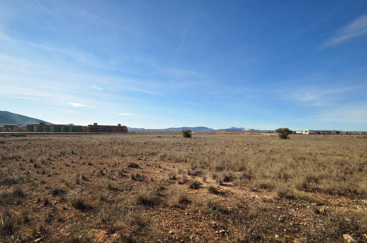 Master bedroom in land for sale in Pinoso