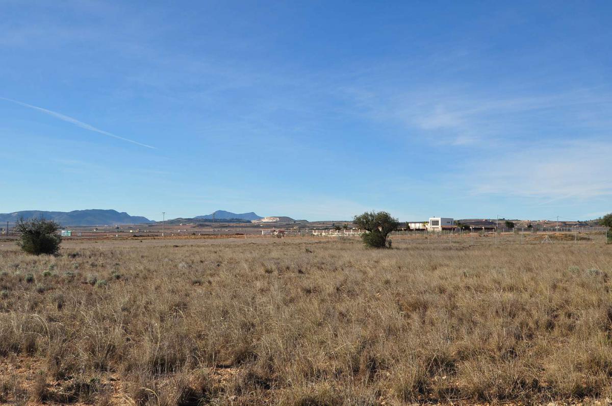 Bathroom in land for sale in Pinoso