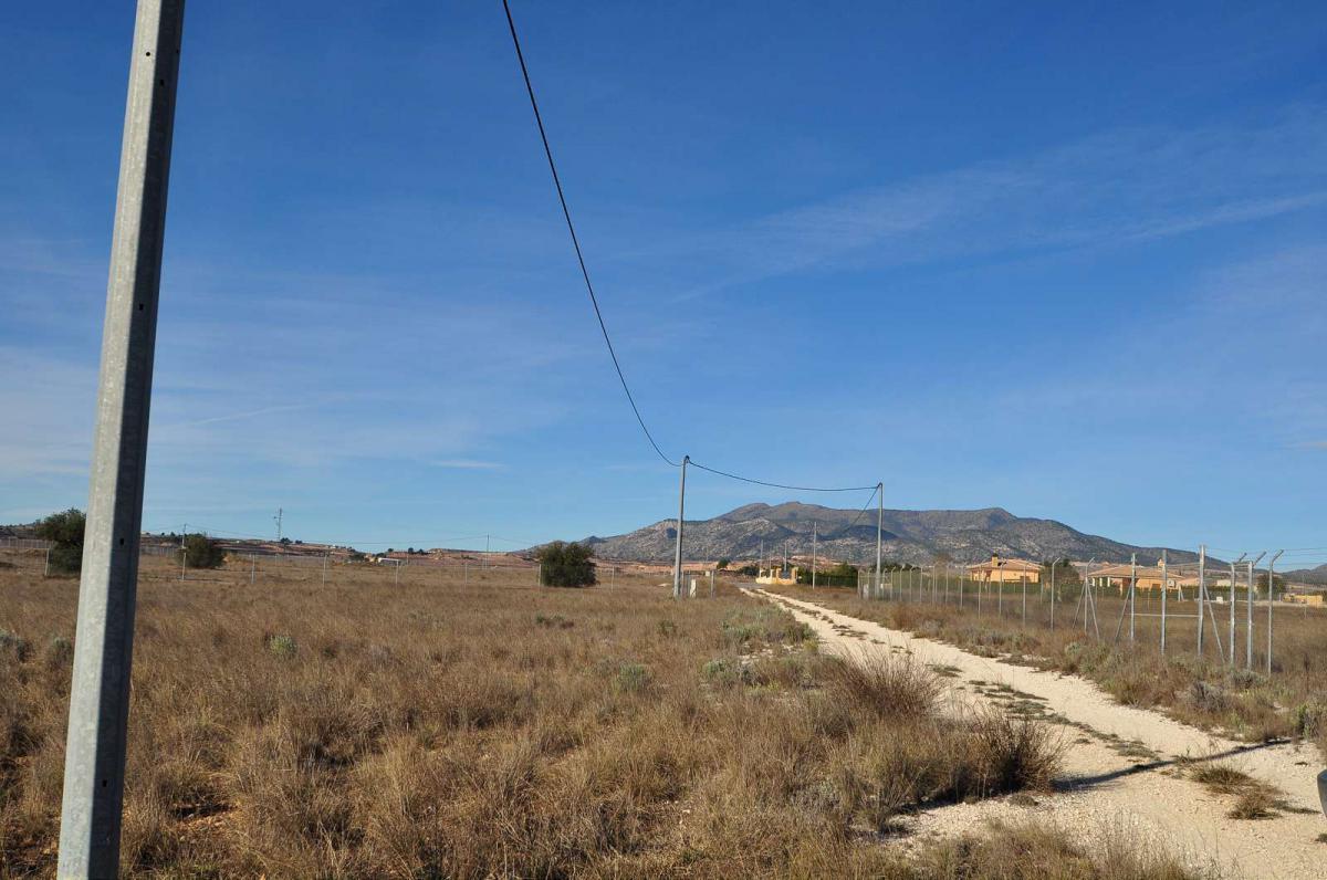 Terrace in land for sale in Pinoso