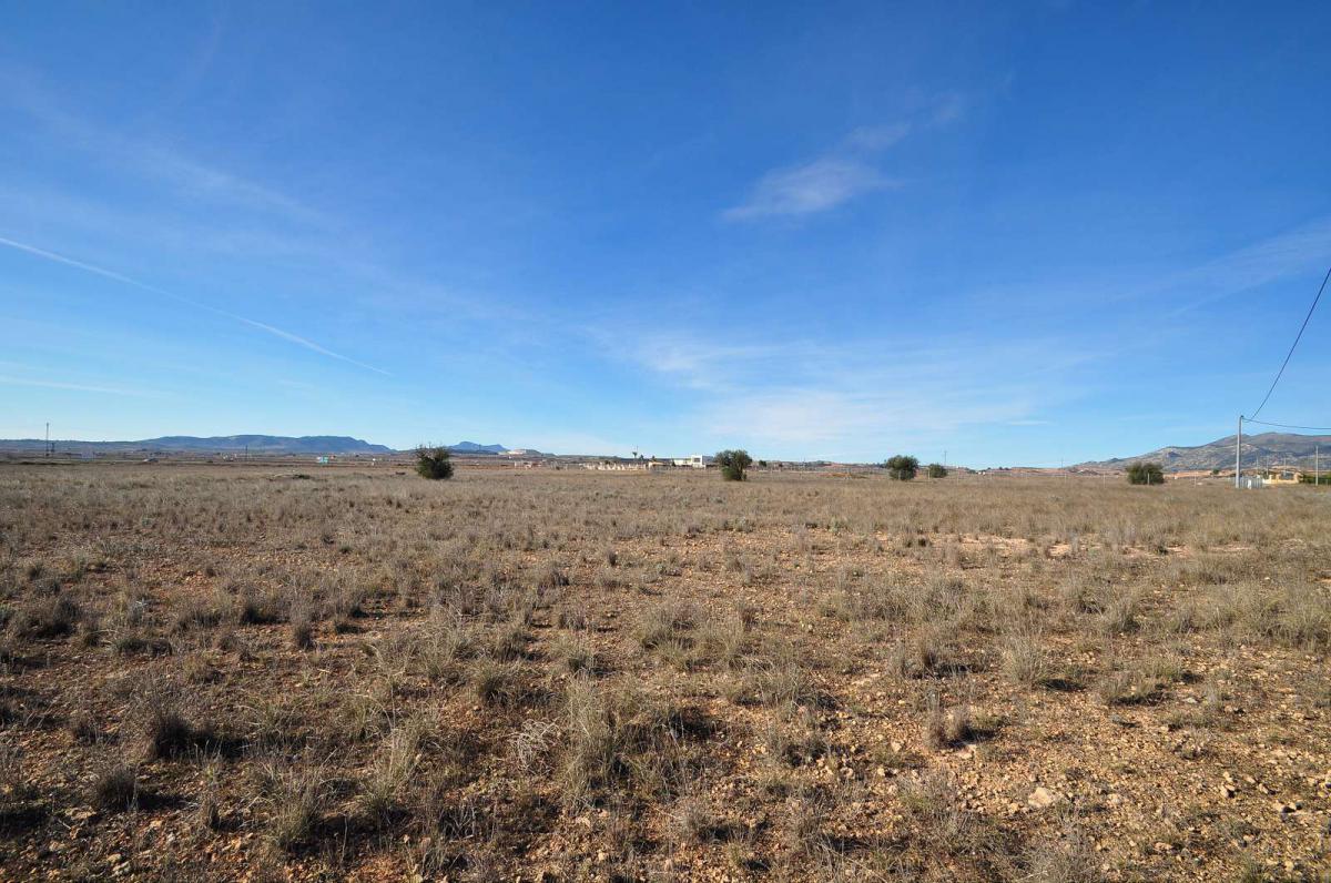 Garden in land for sale in Pinoso
