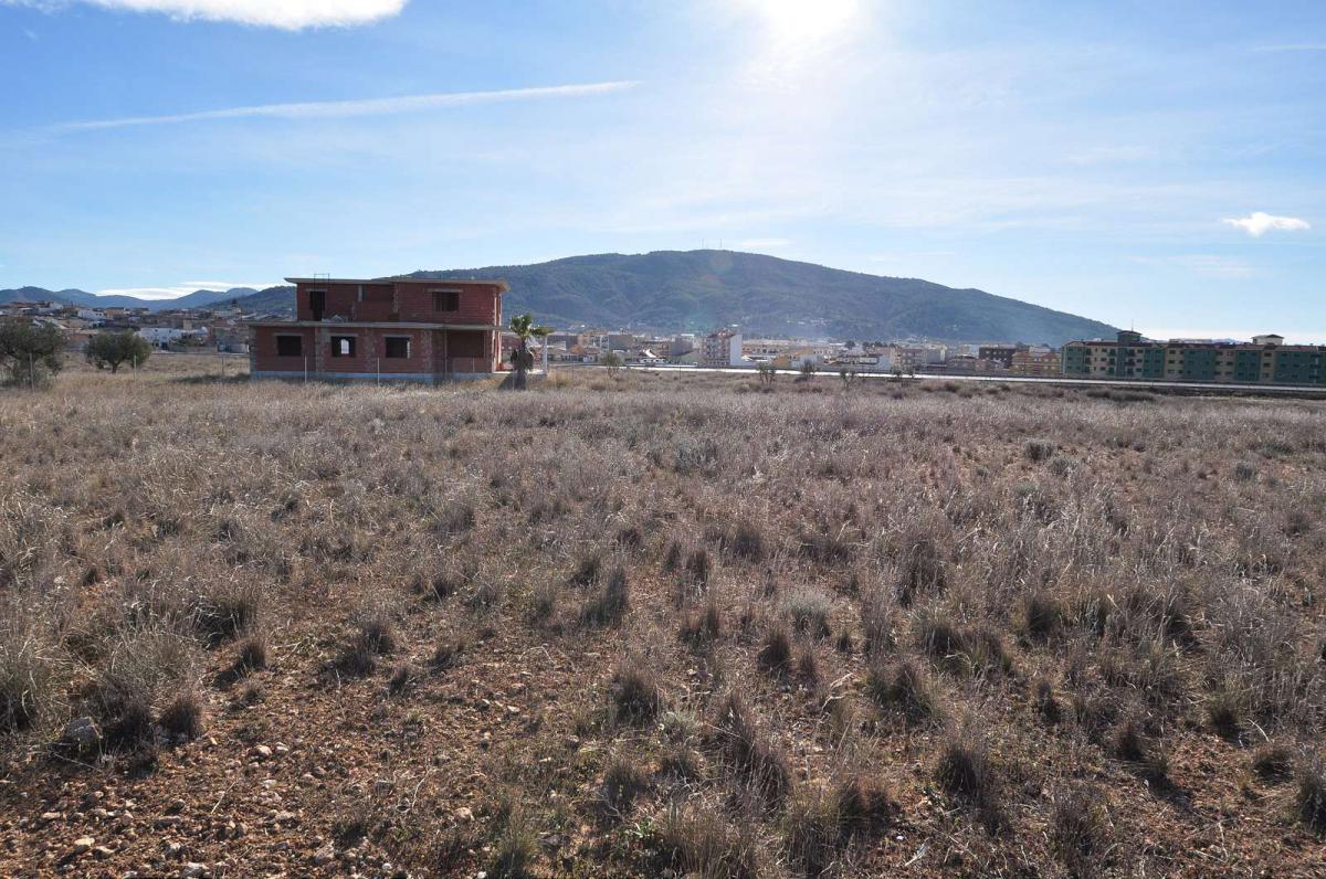 Terrace in land for sale in Pinoso